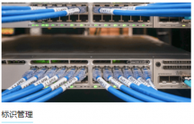 怎樣提高綜合網絡布線效率？？